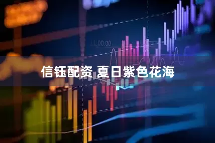 信钰配资 夏日紫色花海