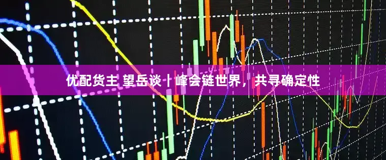 优配货主 望岳谈｜峰会链世界，共寻确定性
