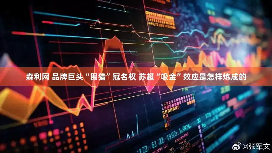 森利网 品牌巨头“围猎”冠名权 苏超“吸金”效应是怎样炼成的