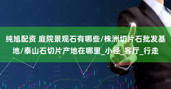 纯旭配资 庭院景观石有哪些/株洲切片石批发基地/泰山石切片产地在哪里_小径_客厅_行走