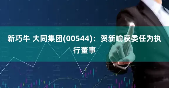 新巧牛 大同集团(00544)：贺新喻获委任为执行董事