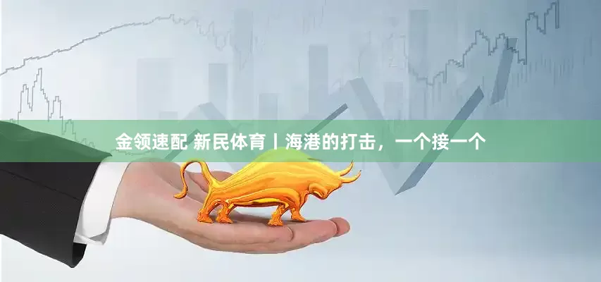 金领速配 新民体育丨海港的打击，一个接一个